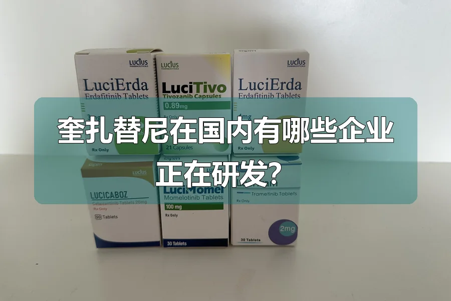 奎扎替尼在国内有哪些企业正在研发？